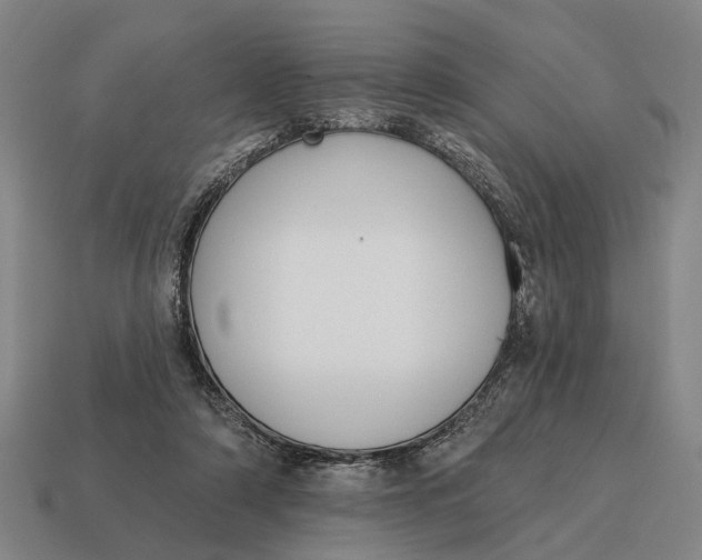 X0000115110306200911101611
