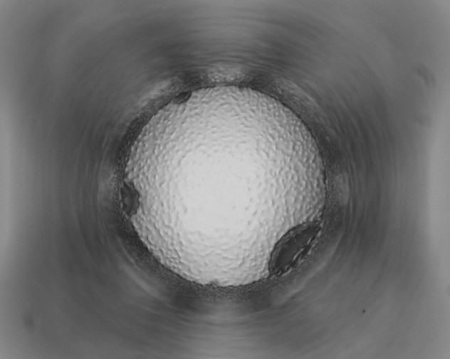 X0000115110308200911101611