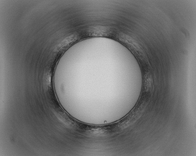 X0000115110310200911101611