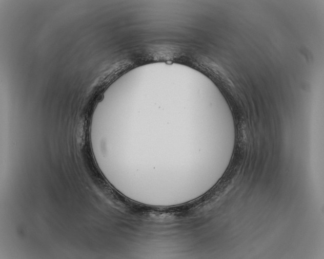 X0000115110311200911101611