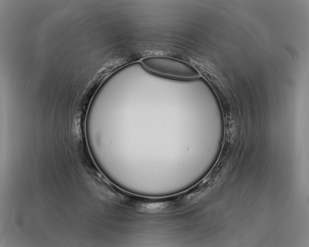X0000115110312200911101611