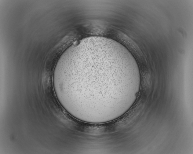 X0000115110313200911101611