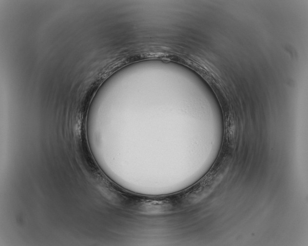 X0000115110315200911101611