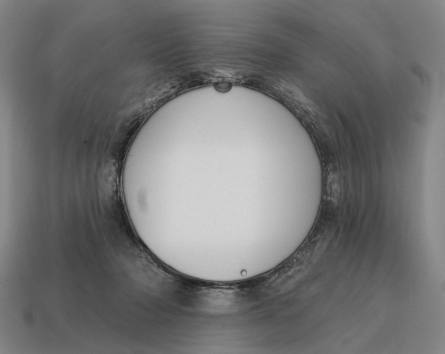 X0000115110318200911101611