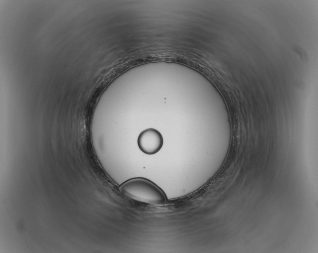 X0000115110320200911101611