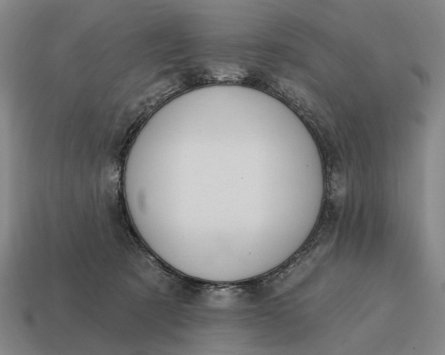 X0000115110321200911101611