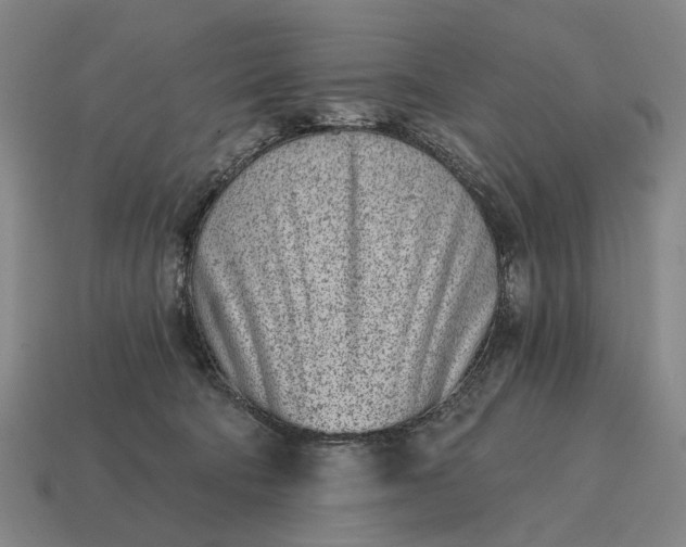 X0000115110322200911101611