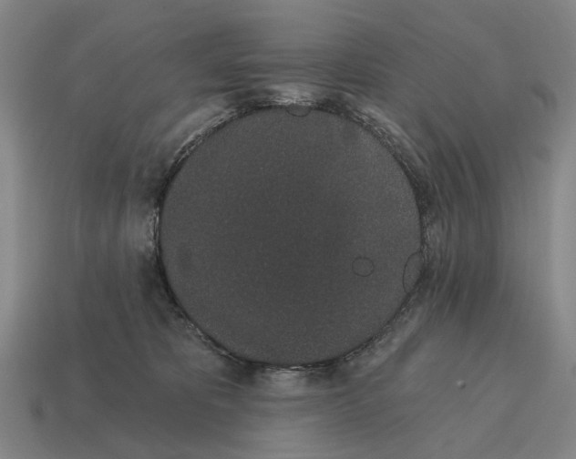 X0000115110325200911101611