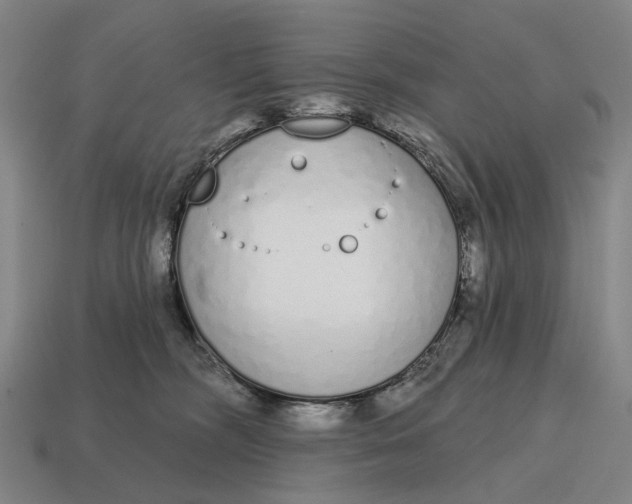 X0000115110326200911101611