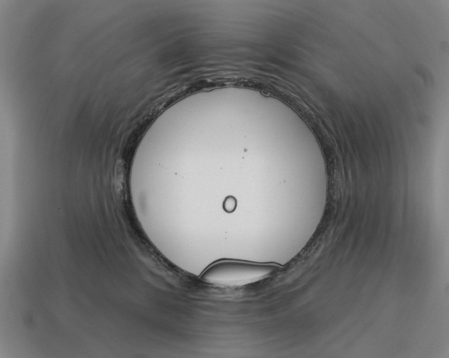 X0000115110328200911101611