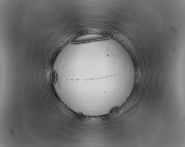 X0000115110329200911101611