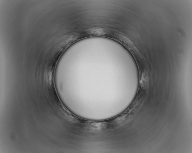 X0000115110330200911101611