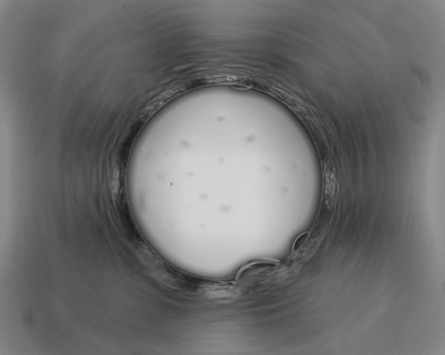 X0000115110331200911101611