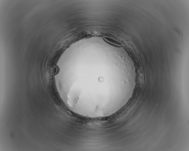 X0000115110332200911101611