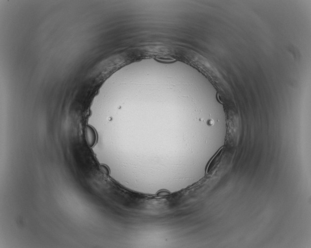 X0000115110333200911101611