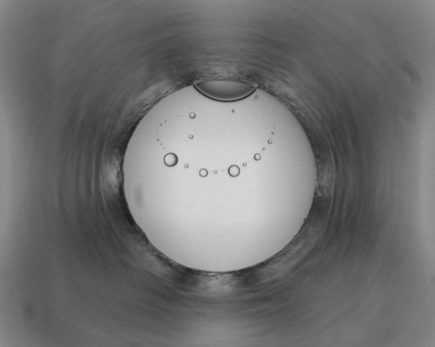 X0000115110334200911101611