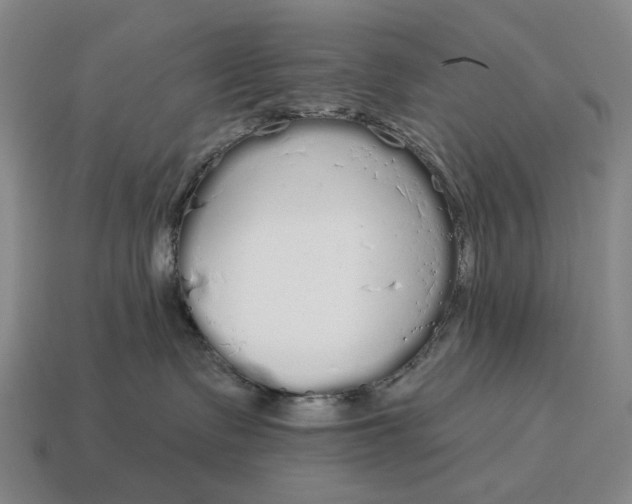X0000115110335200911101611