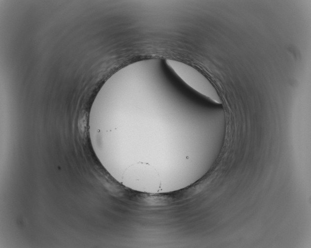 X0000115110336200911101611