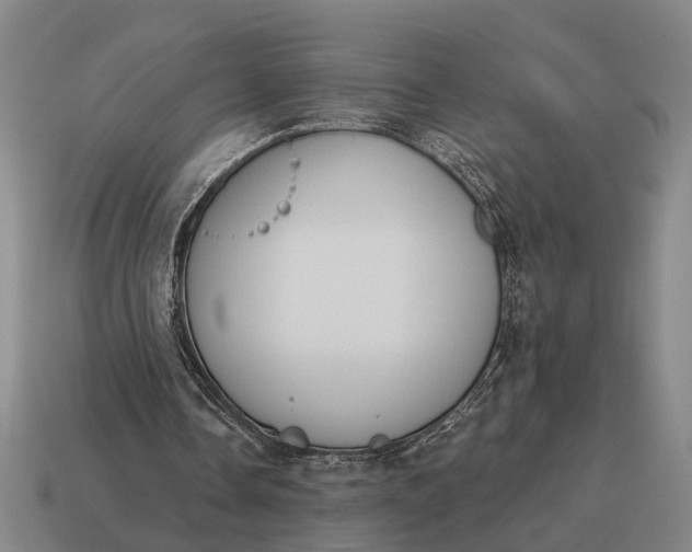 X0000115110338200911101610