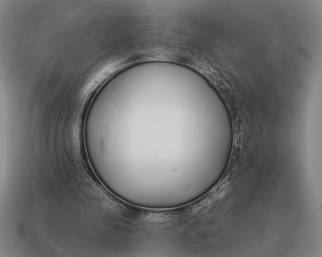 X0000115110341200911101610