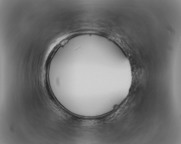X0000115110342200911101610