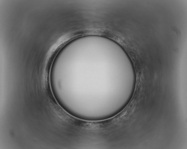 X0000115110343200911101610