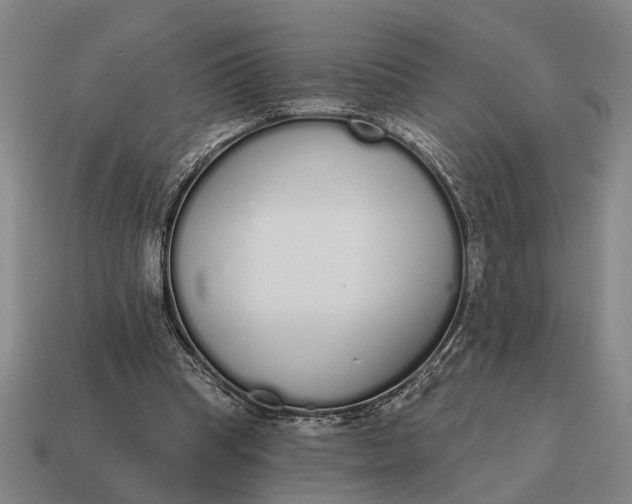 X0000115110345200911101610