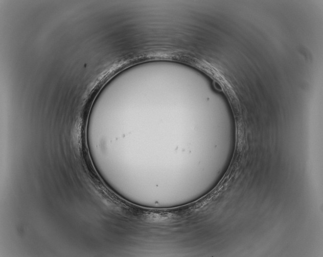 X0000115110346200911101610