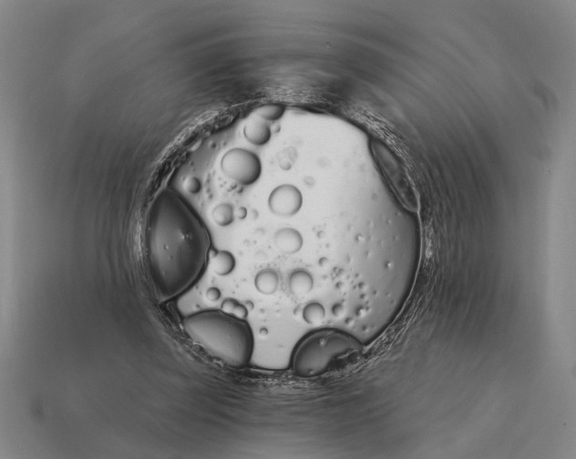 X0000115110347200911101610