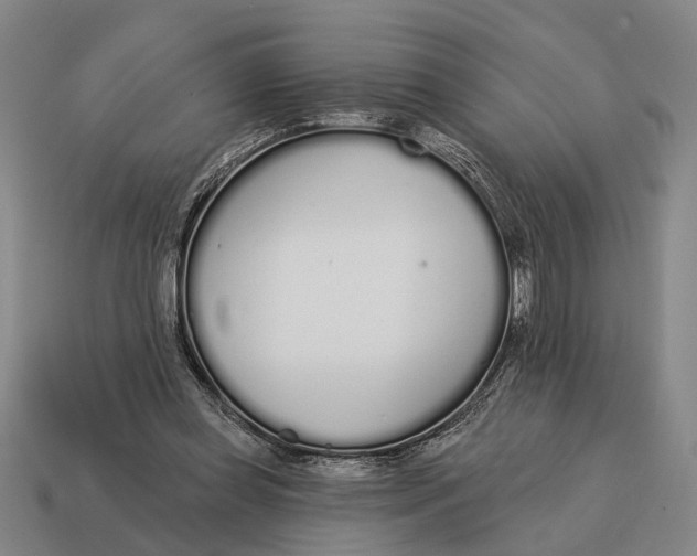 X0000115110349200911101610