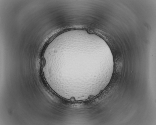 X0000115110350200911101610