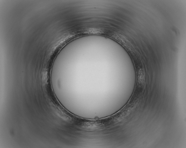 X0000115110351200911101610
