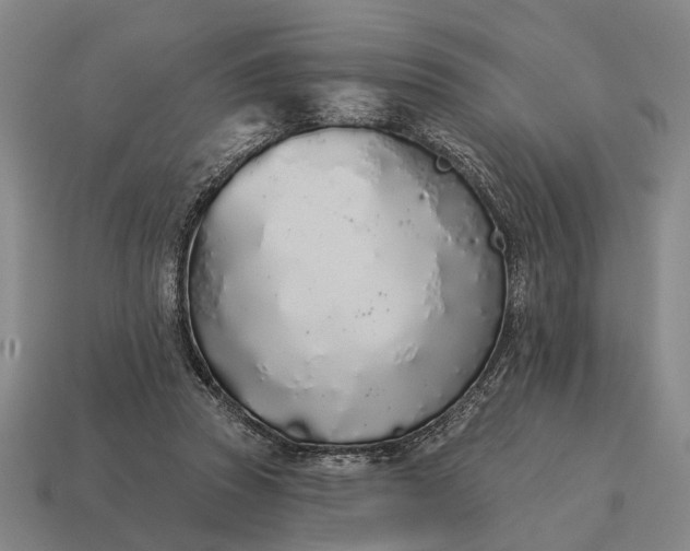 X0000115110353200911101610