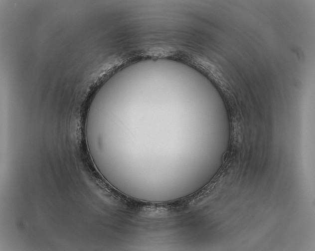 X0000115110354200911101610