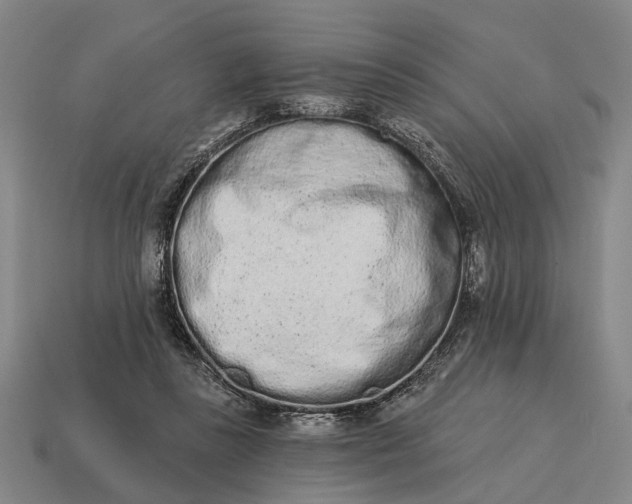 X0000115110355200911101610
