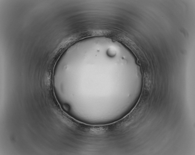 X0000115110357200911101610