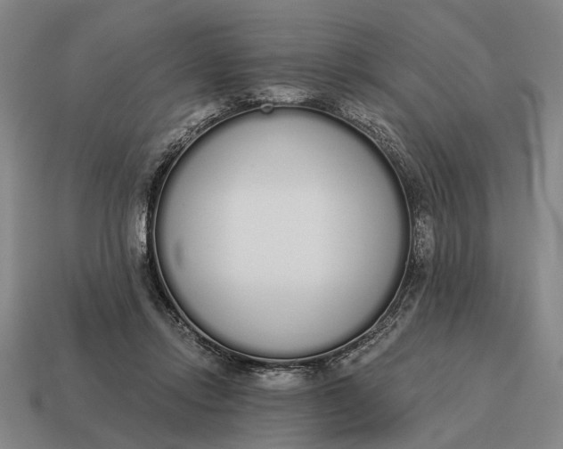 X0000115110358200911101610