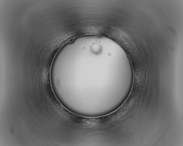 X0000115110359200911101610