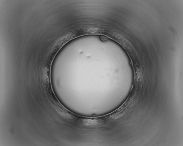 X0000115110361200911101611