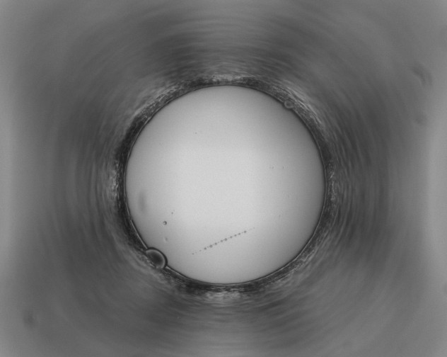 X0000115110362200911101611