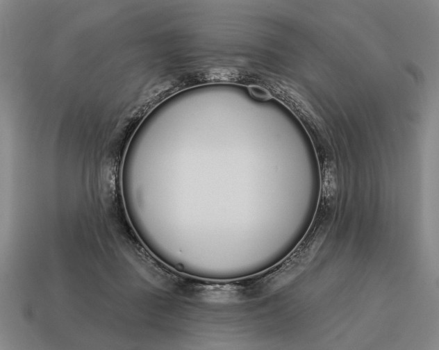 X0000115110363200911101611