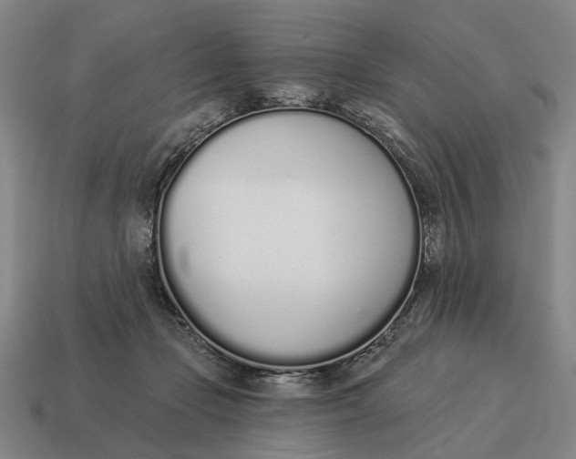 X0000115110365200911101611