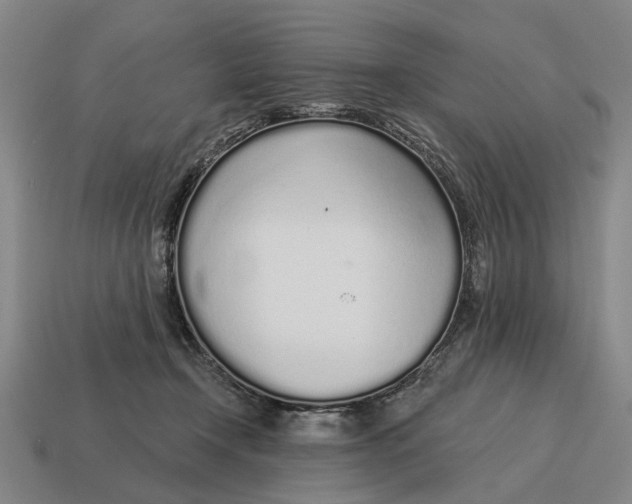 X0000115110366200911101611