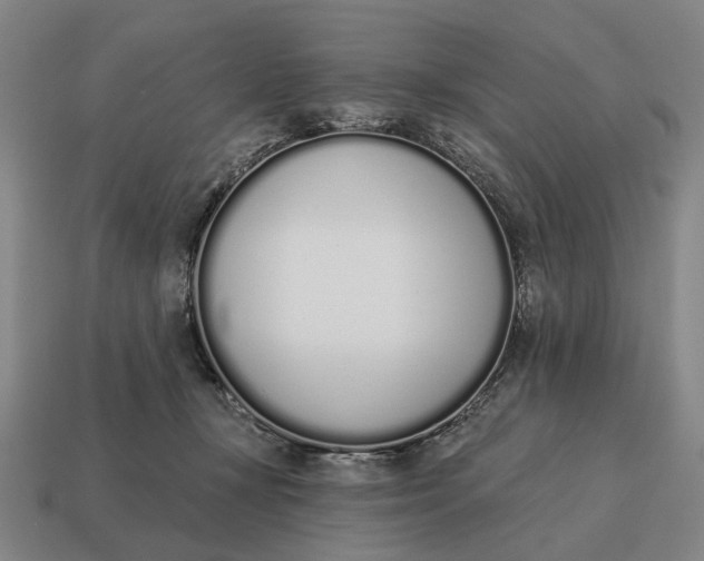 X0000115110367200911101611