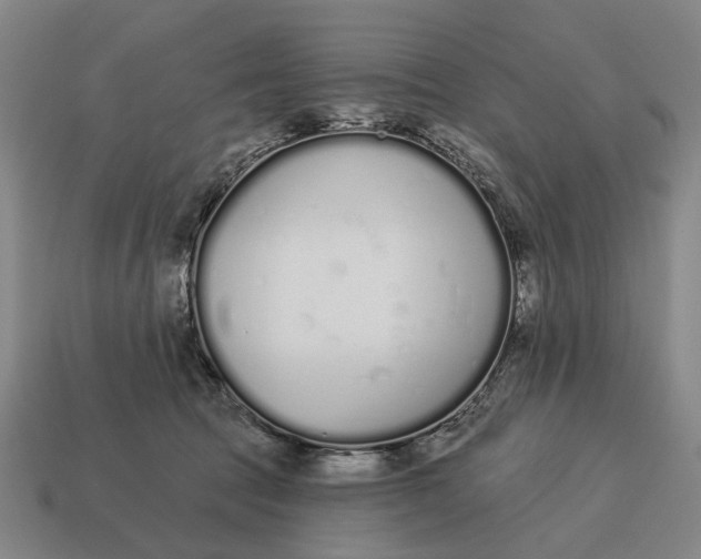 X0000115110369200911101611