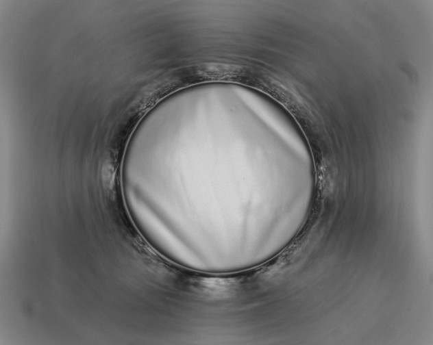 X0000115110371200911101611
