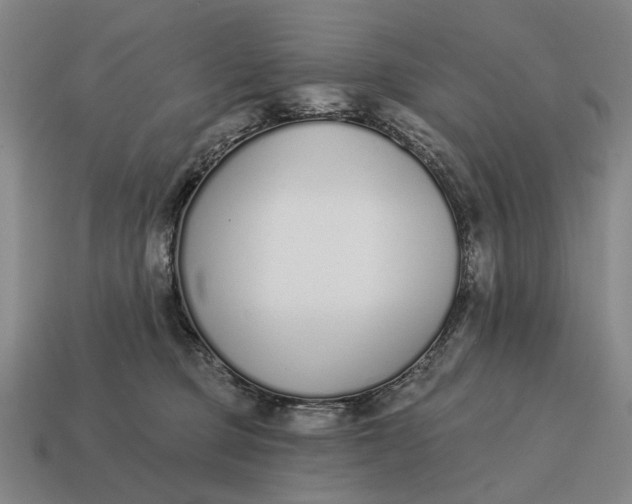 X0000115110373200911101611