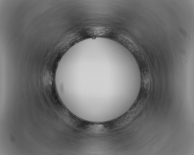 X0000115110374200911101611