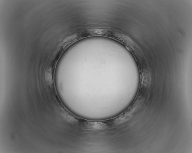 X0000115110377200911101611