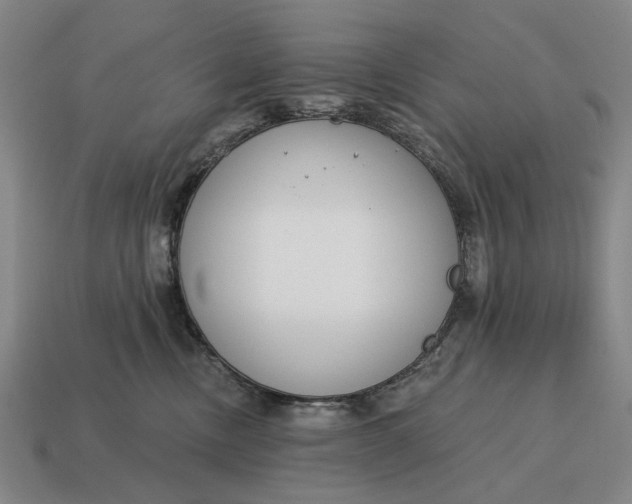 X0000115110378200911101611